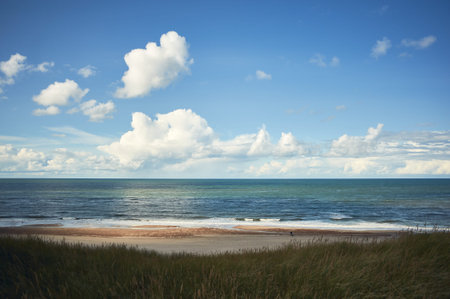 Coastline at the north sea