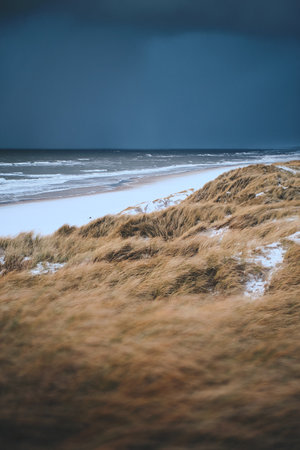 Snow Dunes at denmarks coastlineの写真素材
