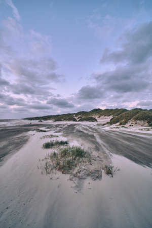 WInd blowing sand over the west coast beach of denmarkの写真素材
