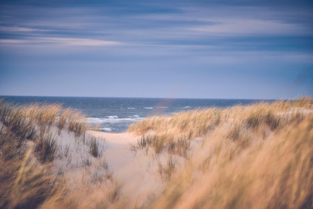 scenic view at north sea coastの写真素材