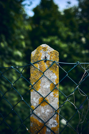 Mesh fence with concrete postの写真素材