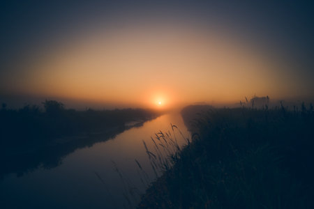 Sunrise over river on misty morningの写真素材