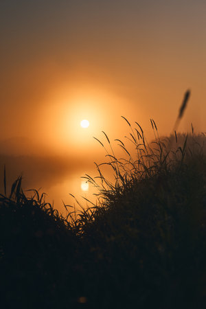 Sunrise on misty morningの写真素材