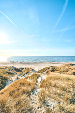 wide beach with dunes at danish coast