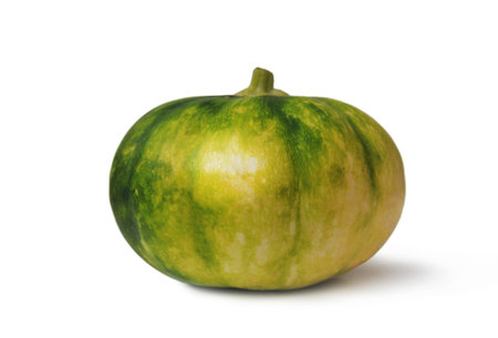 Green pumpkin on a white background isolatedの写真素材