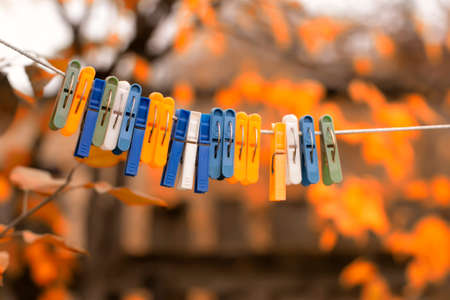 Clothespins in the autumn garden. Autumn composition on the theme of household.の写真素材