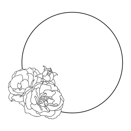 Rose hand drawn illustration in vecor. sketches, line artのイラスト素材