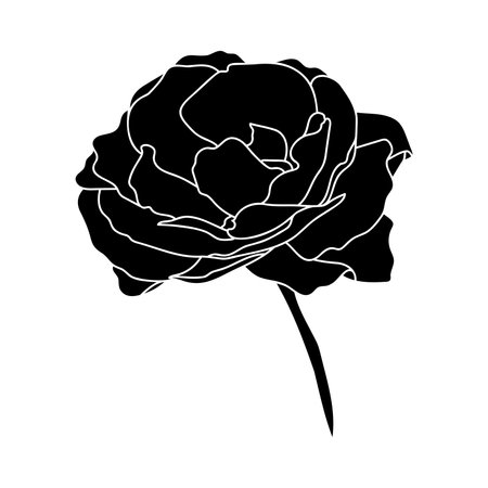 Rose hand drawn illustration in vecor. sketches, line artのイラスト素材