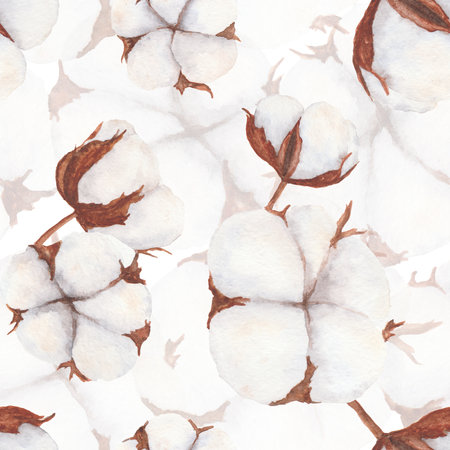 Cotton bolls watercolor hand drawn seamless pattern. Botanical illustration isolated on white background for design, textil, paper, wallpaperの写真素材