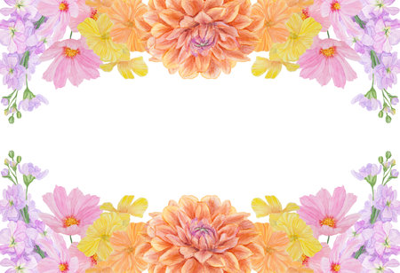 Watercolor botanical colorful frame of summer and autumn flowers: orange dahlia, lathyrus, gillyflower, yellow nasturtium, pink cosmos. Good for wedding print products, paper, invitations, greetingsの写真素材