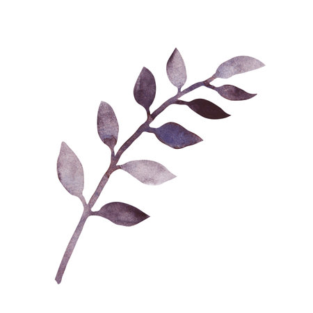 Black branch with leaves. Greenery for bouquet. Plant botanical clip art. Dark floral illustration in watercolor hand drawn, cut out and isolated. Suitable for Halloween, funerals, wedding invitationsの写真素材