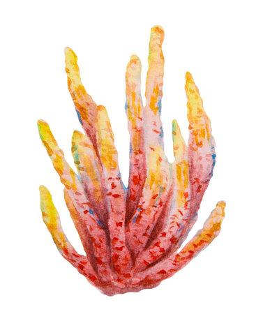 Yellow and red coral colony. Watercolor hand painted marine illustration. Perfect for diving, snorkeling, aquarium decor, tropical reef projects, sea life education, and travel designs.の写真素材