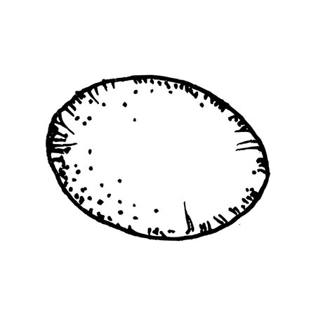 Black and white vector illustration of a whole olive drawn in clean line art. The simple hand-sketched shape shows surface texture and pits, suitable for food graphics, Mediterranean recipe layouts.のイラスト素材