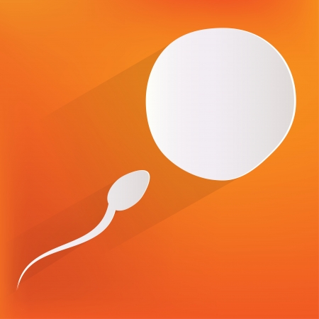 Vector spermatozoons, floating to ovuleのイラスト素材