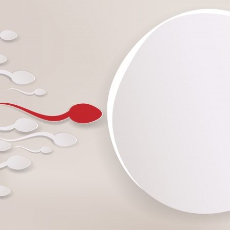 Vector spermatozoons, floating to ovuleのイラスト素材