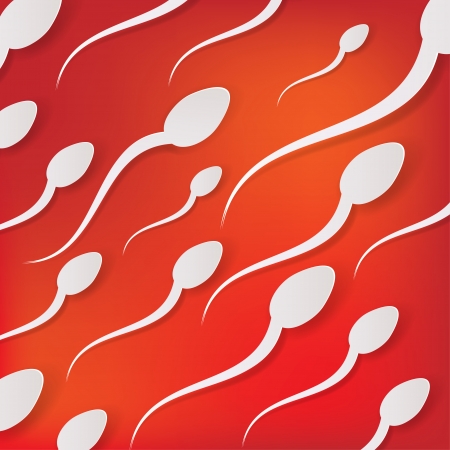 Vector spermatozoons, floating to ovuleのイラスト素材