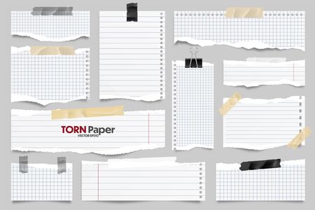 White ripped lined paper strips collection. Realistic paper scraps with torn edges and adhesive tape. Sticky notes, shreds of notebook pages. Vector illustration.のイラスト素材