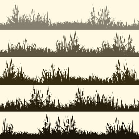 Meadow silhouettes with grass, plants on plain. Panoramic summer lawn landscape with herbs, various weeds. Herbal border, frame element. Brown horizontal banners. Vector illustrationのイラスト素材