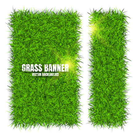 Green grass banners, background. Field, meadow texture, grassy landscape. Organic, bio, eco and natural lifestyle design elements. Ecology and environment protection. Vector illustrationのイラスト素材