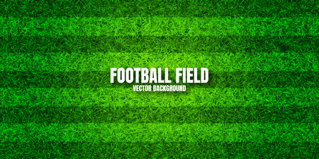 Soccer playing field with green grass. Football pitch background with stripes. Sports ground, stadium with fake or natural grass. Vector illustrationのイラスト素材