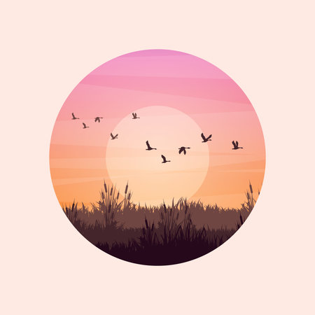 Meadow silhouettes with grass and old wooden fence. Countryside, round panoramic summer lawn rural landscape with herbs, weeds. Agriculture and farming. Summer sunset in nature. Vector illustrationのイラスト素材