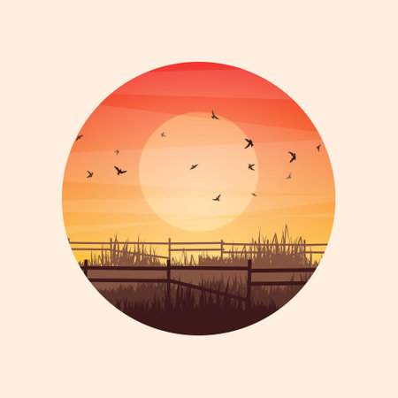 Meadow silhouettes with grass and old wooden fence. Countryside, round panoramic summer lawn rural landscape with herbs, weeds. Agriculture and farming. Summer sunset in nature. Vector illustrationのイラスト素材