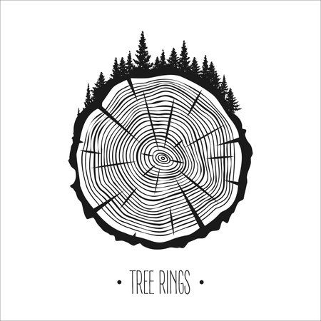 Round tree trunk cut with trees and forest. Sawn pine or oak slice, lumber. Saw cut timber, wood. Brown wooden texture with tree rings. Hand drawn sketch. Vector illustrationのイラスト素材