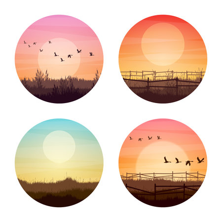 Meadow silhouettes with grass and old wooden fence. Countryside, round panoramic summer lawn rural landscape with herbs, weeds. Agriculture and farming. Summer sunset in nature. Vector illustrationのイラスト素材