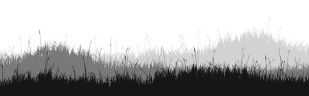 Meadow silhouette with grass, plants on plain. Panoramic summer lawn landscape with herbs, various weeds. Herbal border, frame element. Black horizontal banners. Vector illustrationのイラスト素材