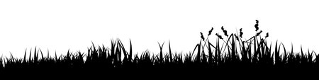 Meadow silhouette with grass, plants on plain. Panoramic summer lawn landscape with herbs, various weeds. Herbal border, frame element. Black horizontal banners. Vector illustrationのイラスト素材
