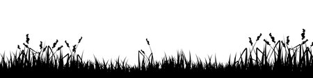 Meadow silhouette with grass, plants on plain. Panoramic summer lawn landscape with herbs, various weeds. Herbal border, frame element. Black horizontal banners. Vector illustrationのイラスト素材