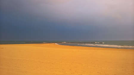 Camargue beach at duskの写真素材