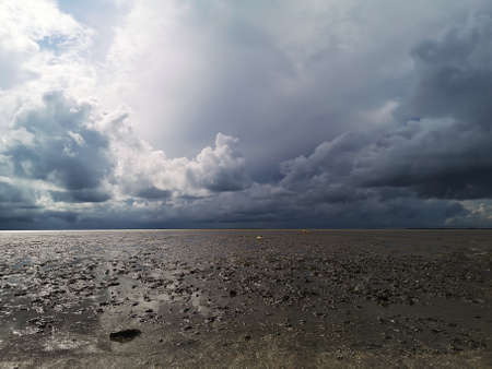 Swampy and stormy landscapeの写真素材