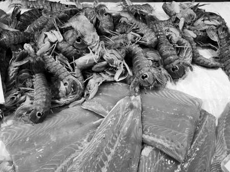 close-up on seafood and fishの写真素材