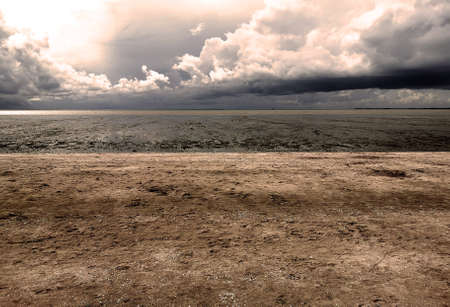 Horizontal and colorimetry of the landscape at low tide, Charente-Maritime, Franceの写真素材