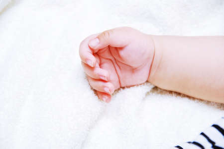 Cute handの写真素材