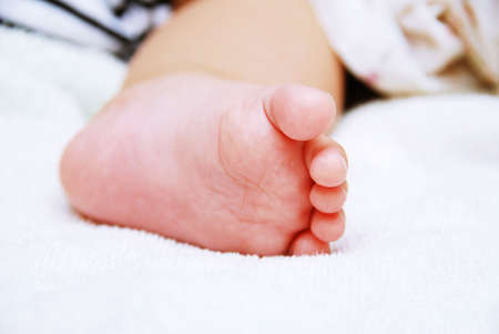 Cute footの写真素材