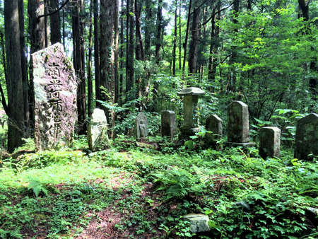 Carved stones in the forestのeditorial素材