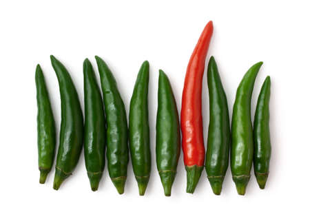 Spicy green and one red chillies isolated on white backgroundの写真素材