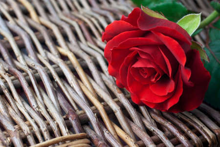 Red rose on wicker background (copy space, shallow depth of field)の写真素材