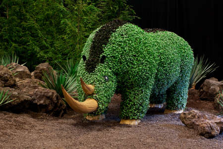 GHENT, BELGIUM - APRIL 23: The Ghent Floralies (de Gentse Floralien ) 34th edition of prestigious flower and plant exhibitions on April 17-25, 2010 in Ghent (Gent), Belgium. Rhinoのeditorial素材