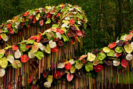 GHENT, BELGIUM - APRIL 23: The Ghent Floralies (de Gentse Floralien ) 34th edition of prestigious flower and plant exhibitions on April 17-25, 2010 in Ghent (Gent), Belgium. Anthurium.のeditorial素材