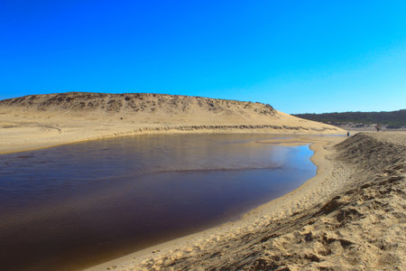the current of Huchet winds in the middle of the sand at the beach of Moliets in the Landes to end up throwing itself in the ocean. The sky is blue, the weather is nice, it's summerの写真素材