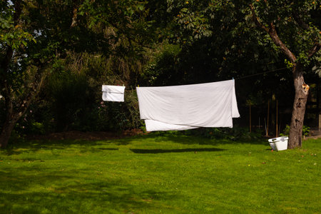 White laundry dries on a line between two trees in a gardenの写真素材