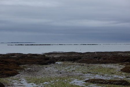 A scenic view of the gloomy sky over the seashoreの写真素材