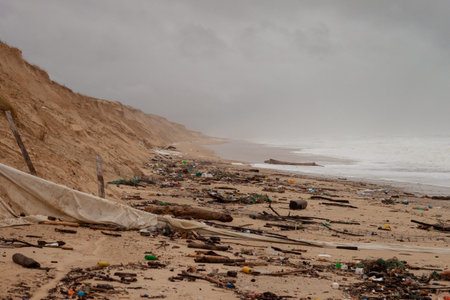 The storm threw a lot of waste, especially plastic, on the beach. Heaps of garbage cans formed on...