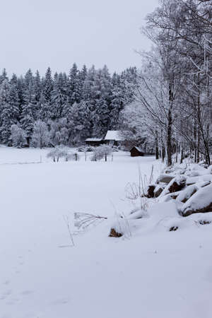 A house is nestled against a forest of fir trees. The forest, the trees, the house and the barn are covered with snow. Rocks in the foreground are practically covered with snow.の写真素材