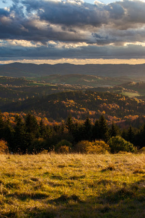 an autumnal mountain landscape. an autumn sunset over the mountain. The atmosphere is calm, serene. the forest is orange, the firs are green, the sky is yellow orange.の写真素材