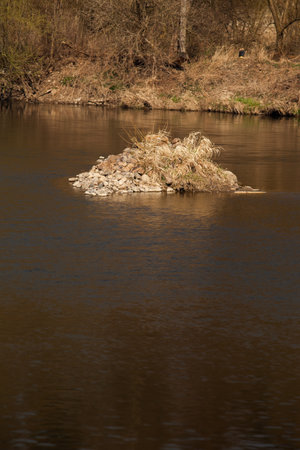 Pebbles have formed a mini island in the middle of the river. Everything is yellow brown giving an impression of a serene calm still life.の写真素材