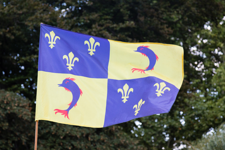 Dauphine flag with blue dolphin and yellow heraldic lily flowers, isere, france.の写真素材